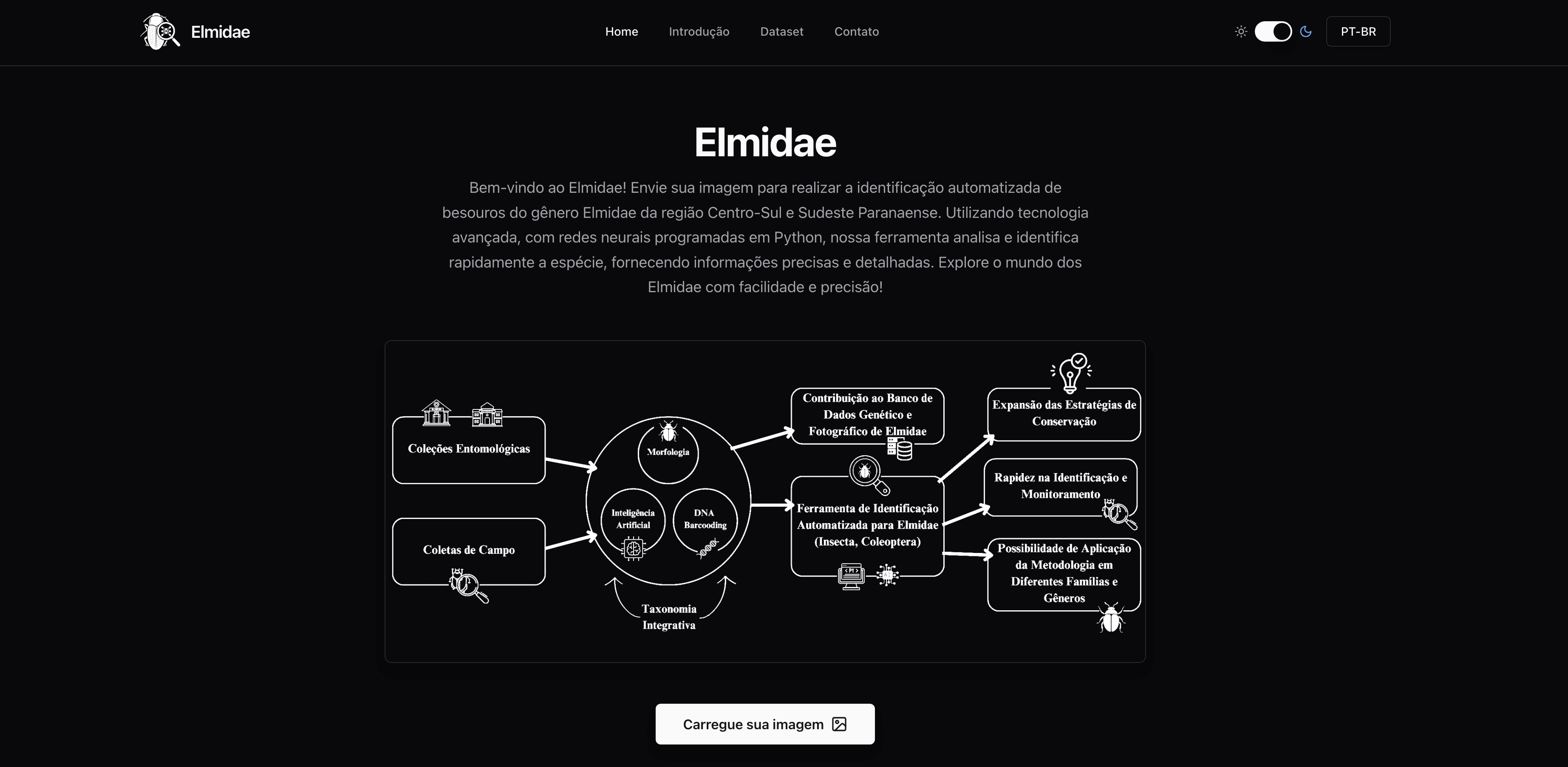 Elmidae